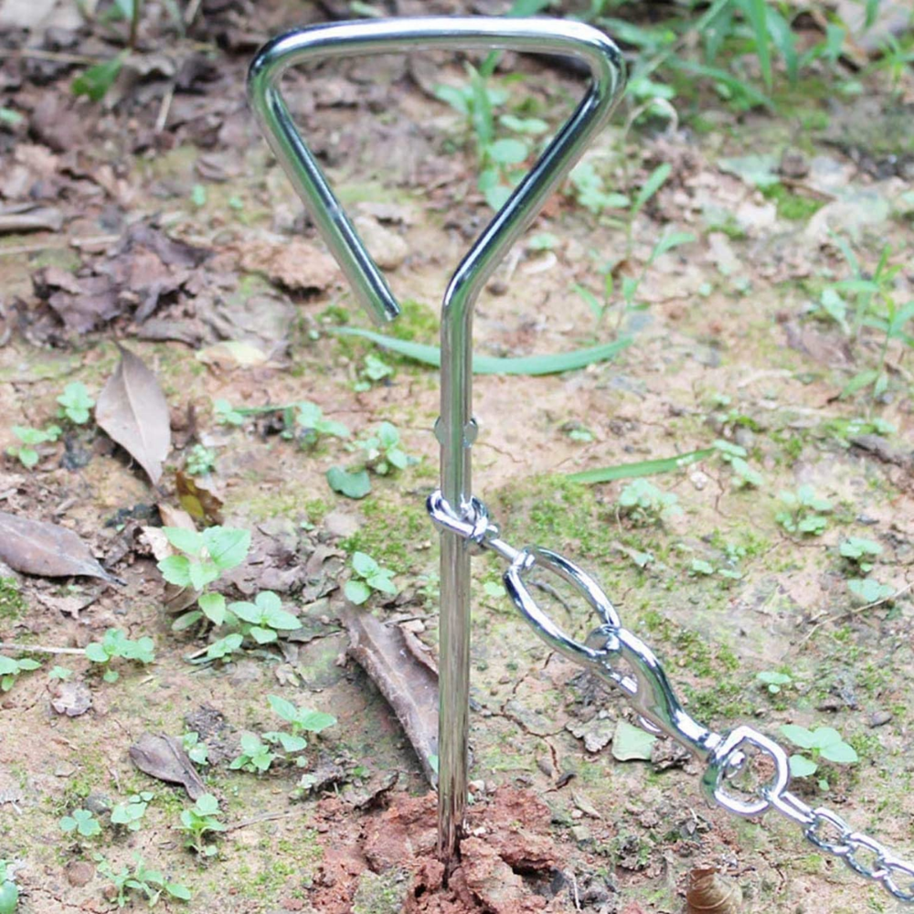 Dog stake