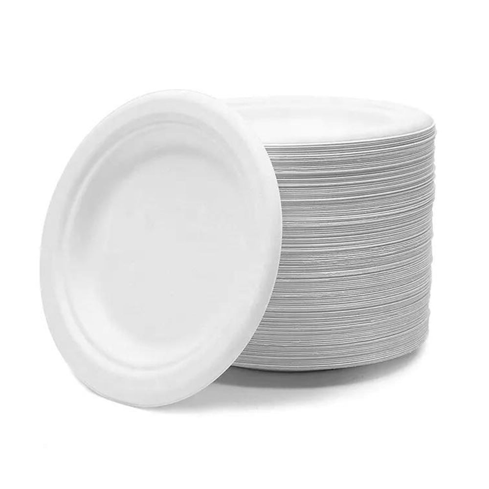 Disposable Bagasse Plates