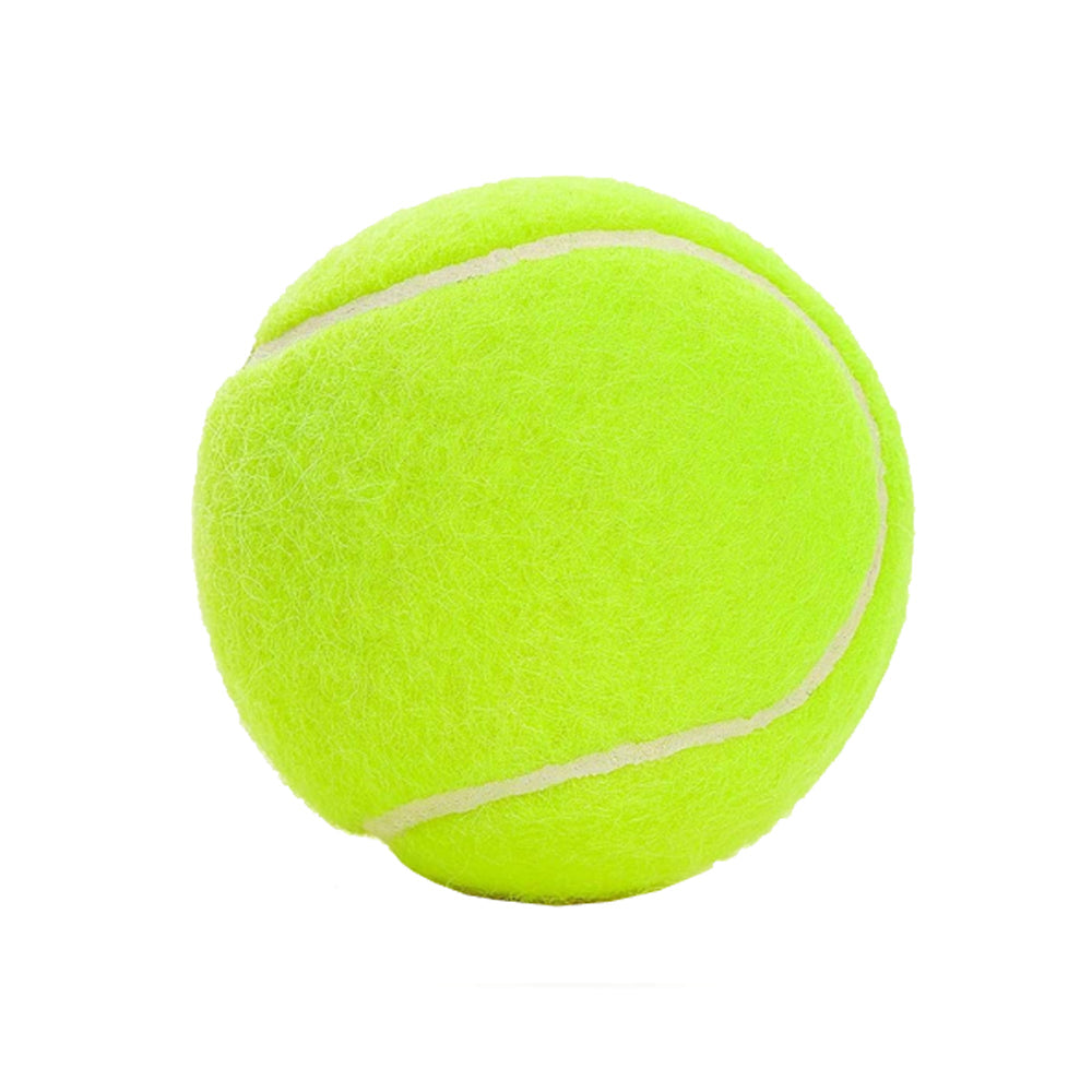 Dog tennis balls