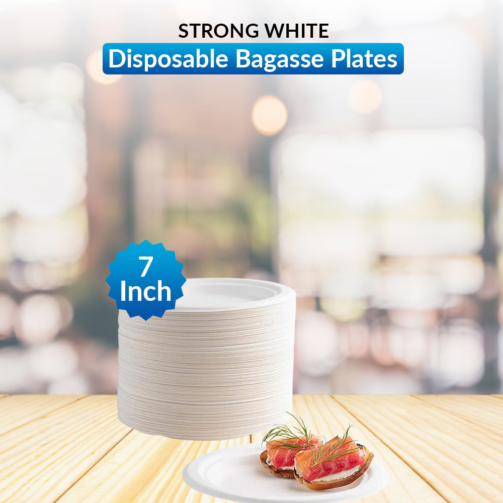 Disposable Bagasse Plates