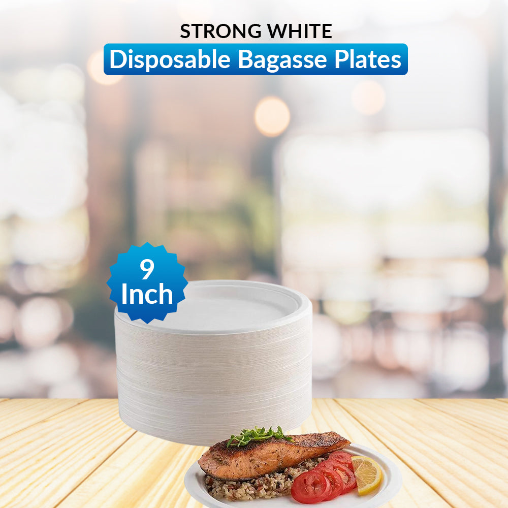 Disposable Bagasse Plates
