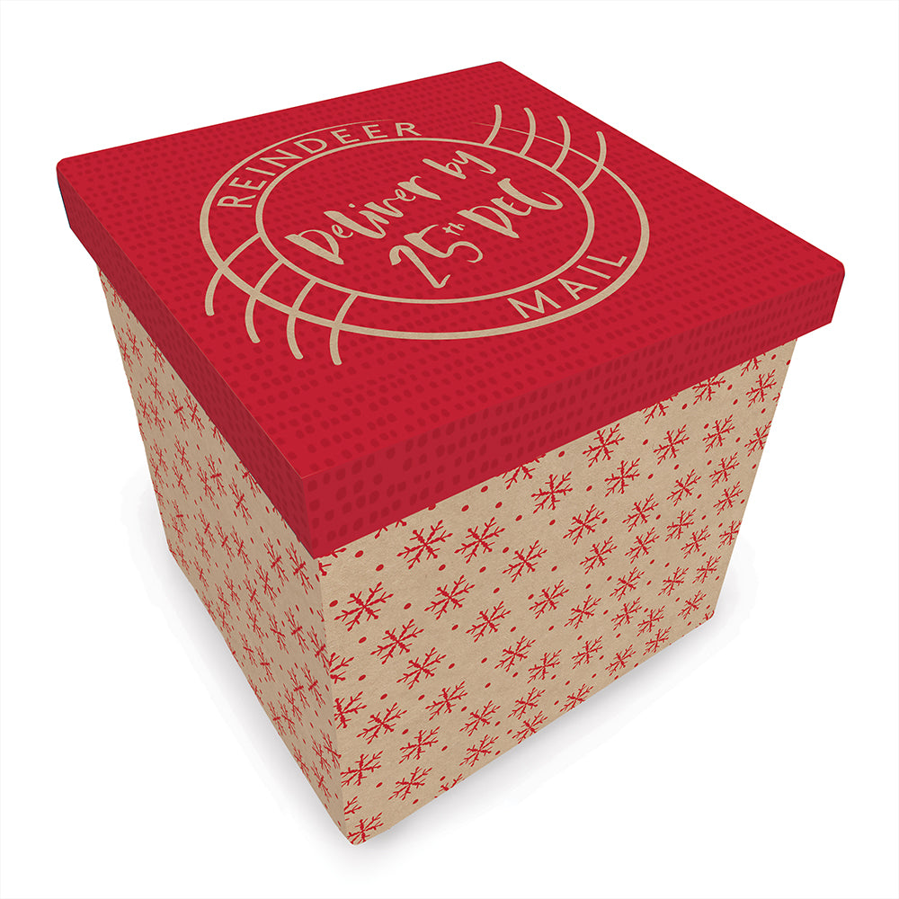 Christmas Kraft Gift Delivery Box