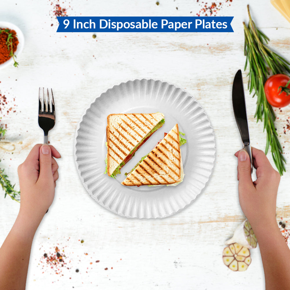 Disposable Paper Plates