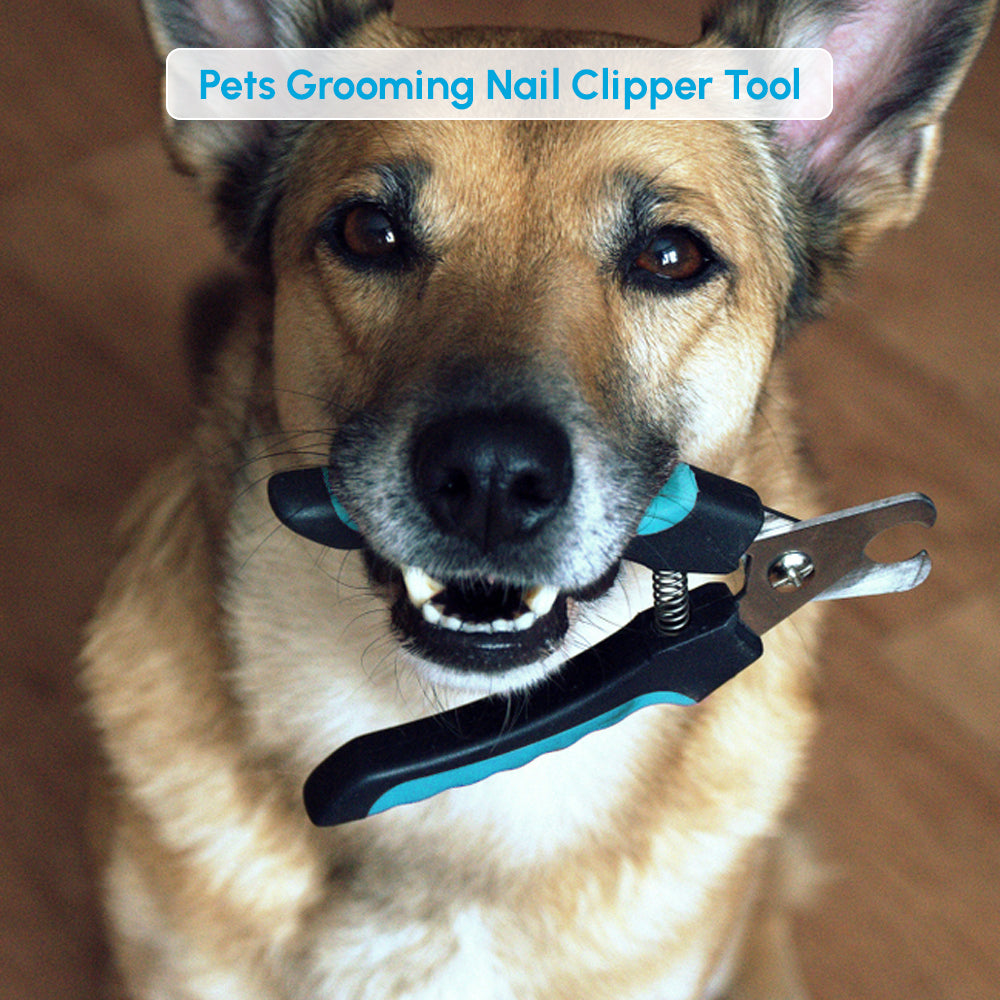 Dog claw trimmer