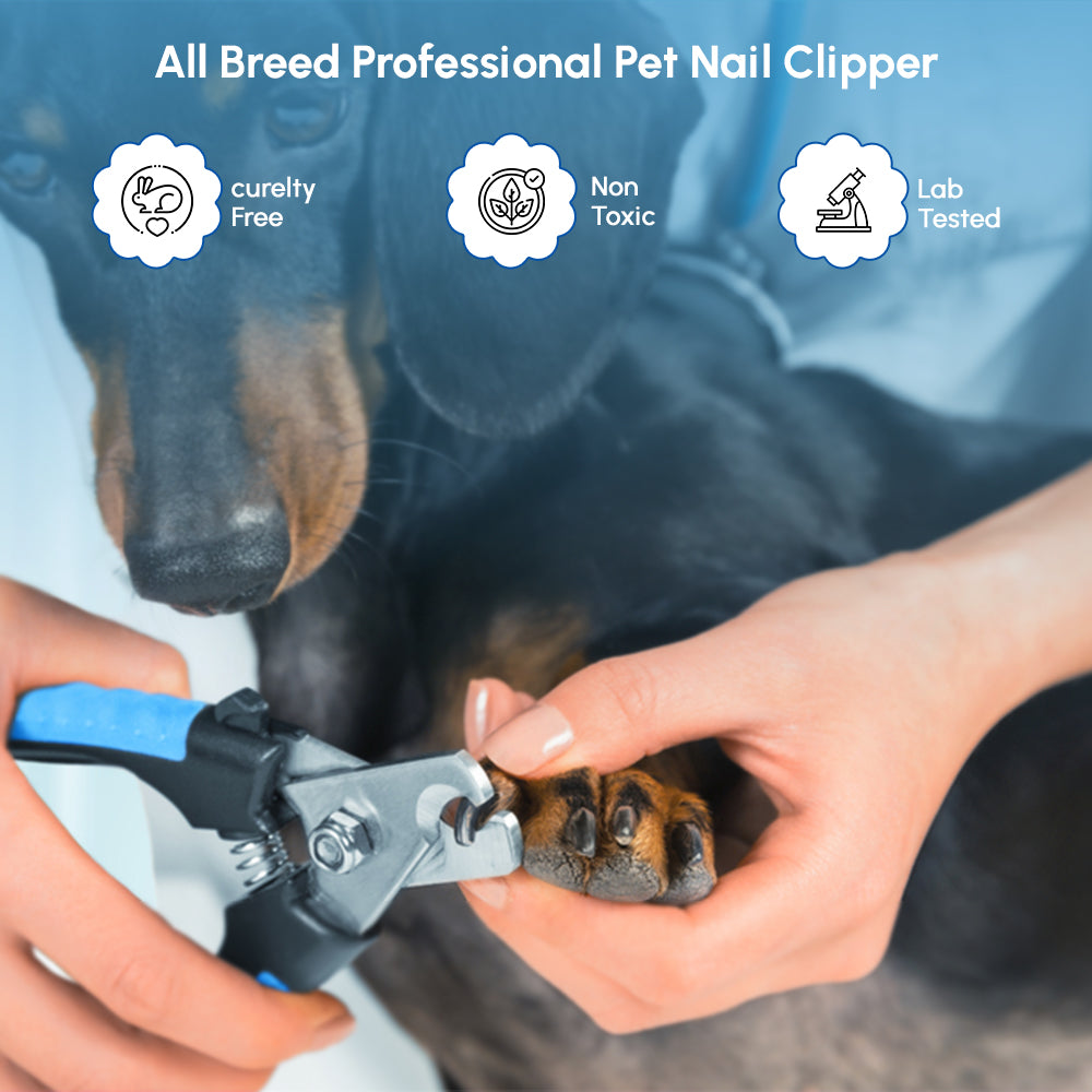 Claw clippers dogs
