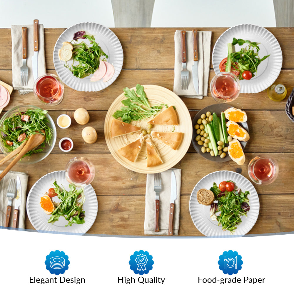Disposable Paper Plates