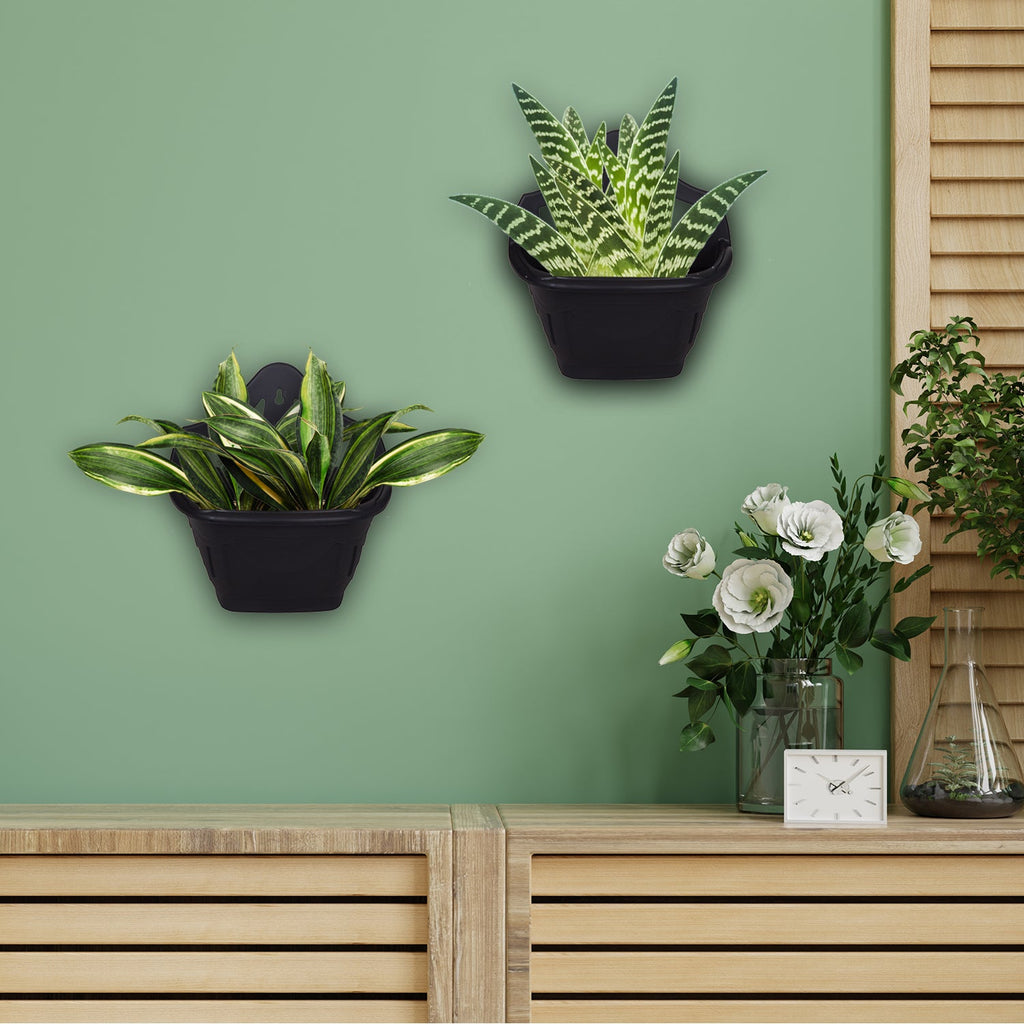 Black Venetian Wall Planter