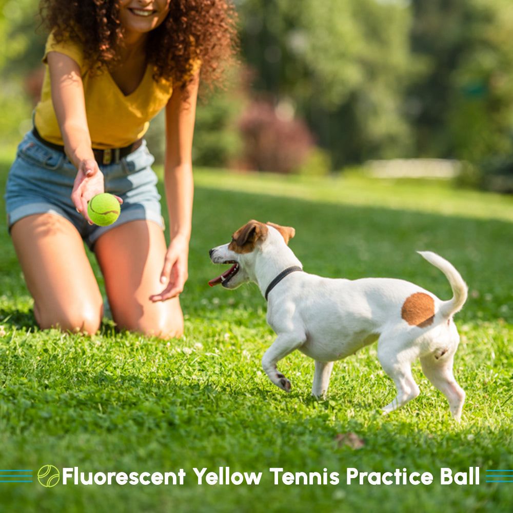 Dog tennis balls