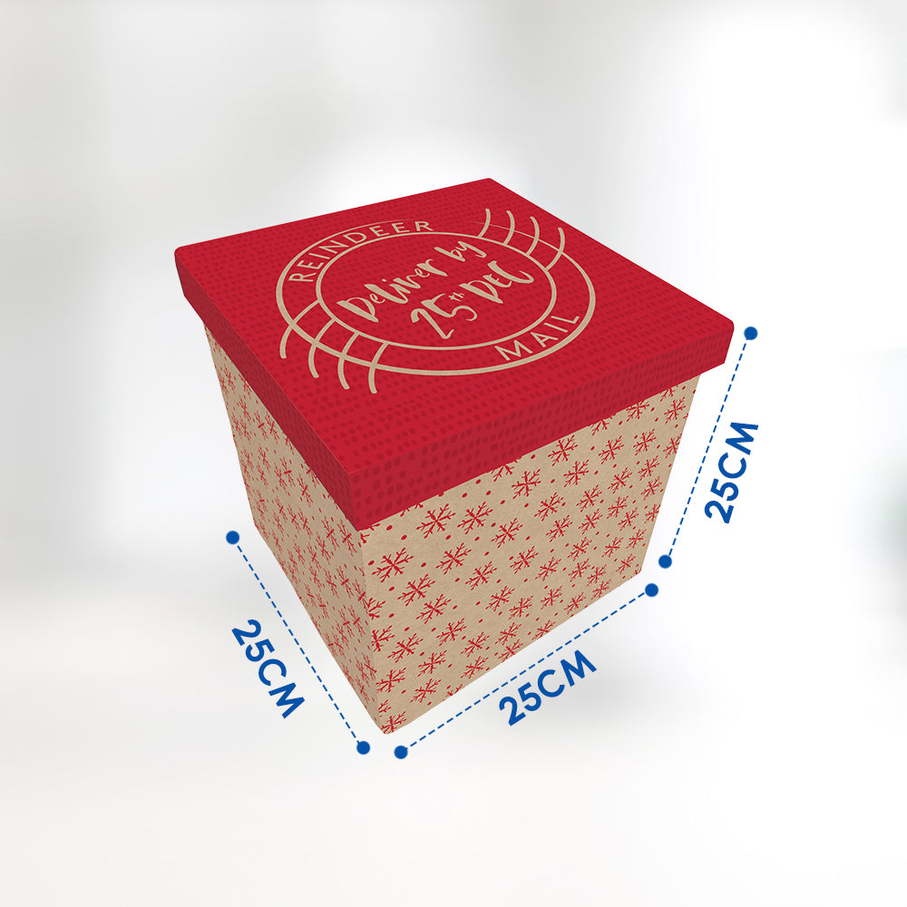 Christmas Kraft Gift Delivery Box