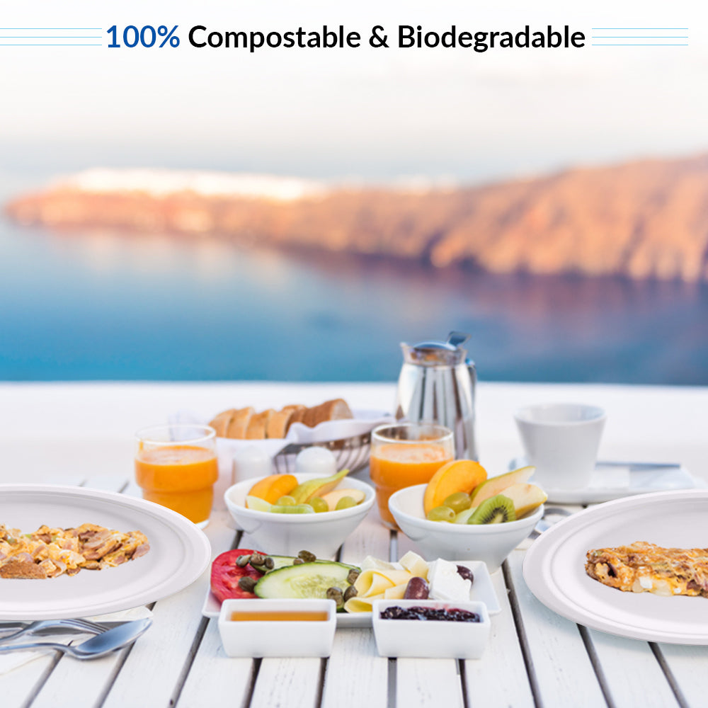 Disposable Bagasse Plates