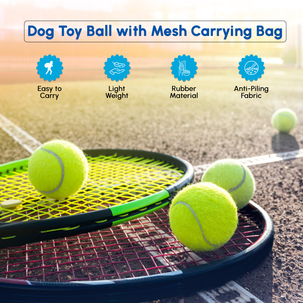 Tennis balls for dogs
