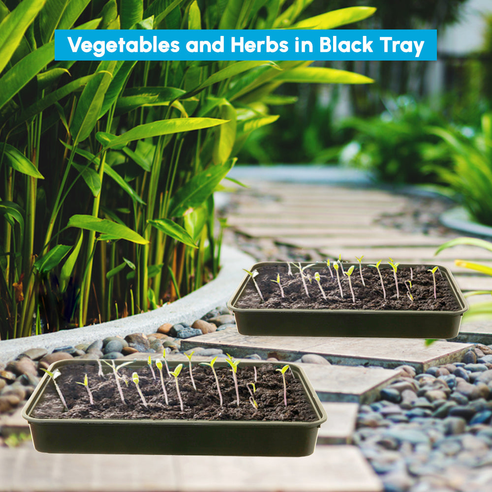Black Plastic Tray