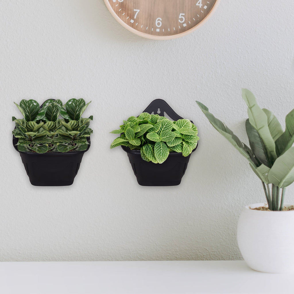 Wall Planter