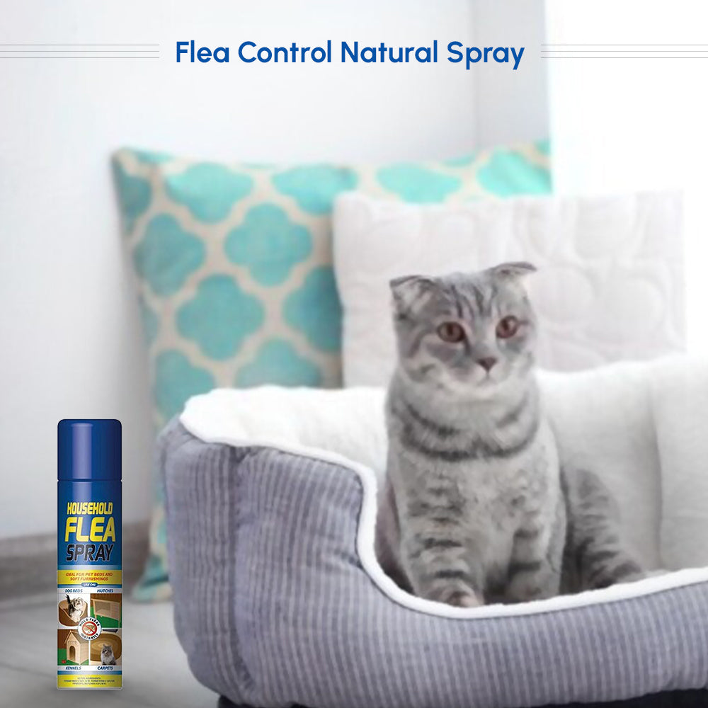flea killer spray for home