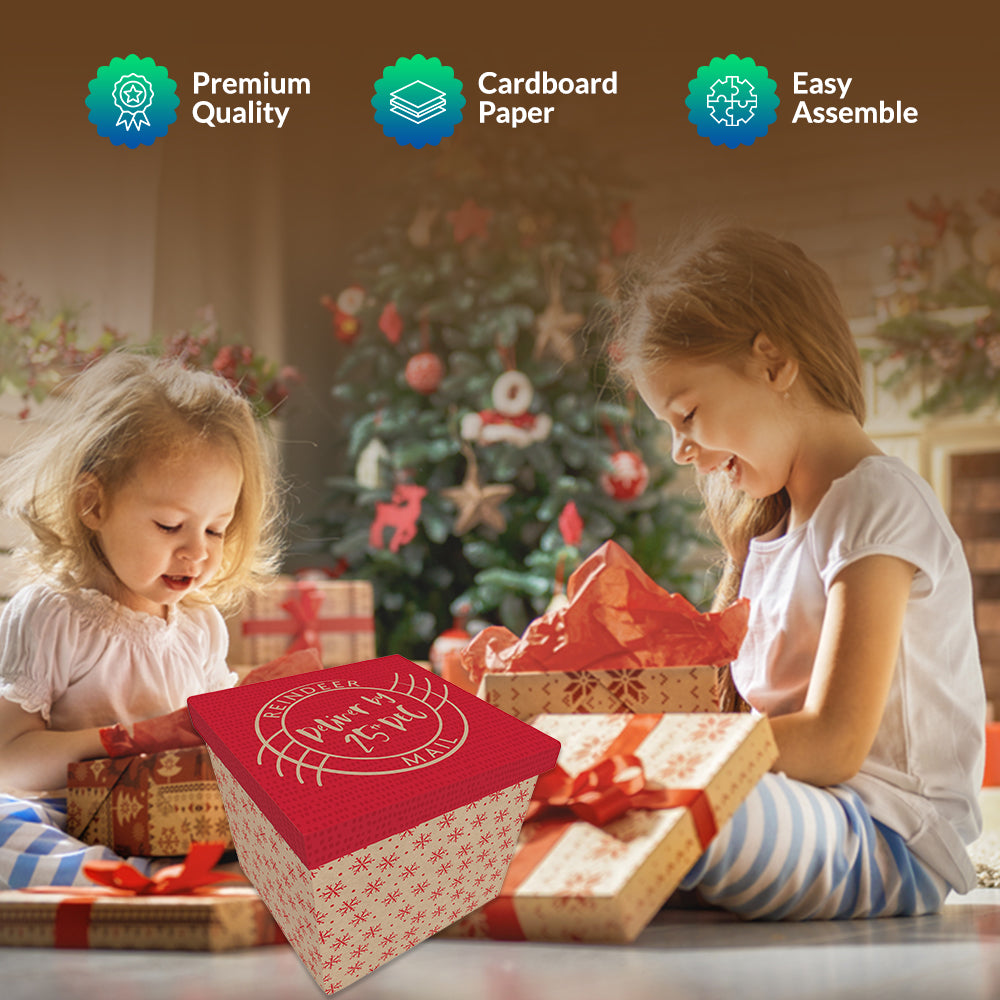 Christmas Kraft Gift Delivery Box