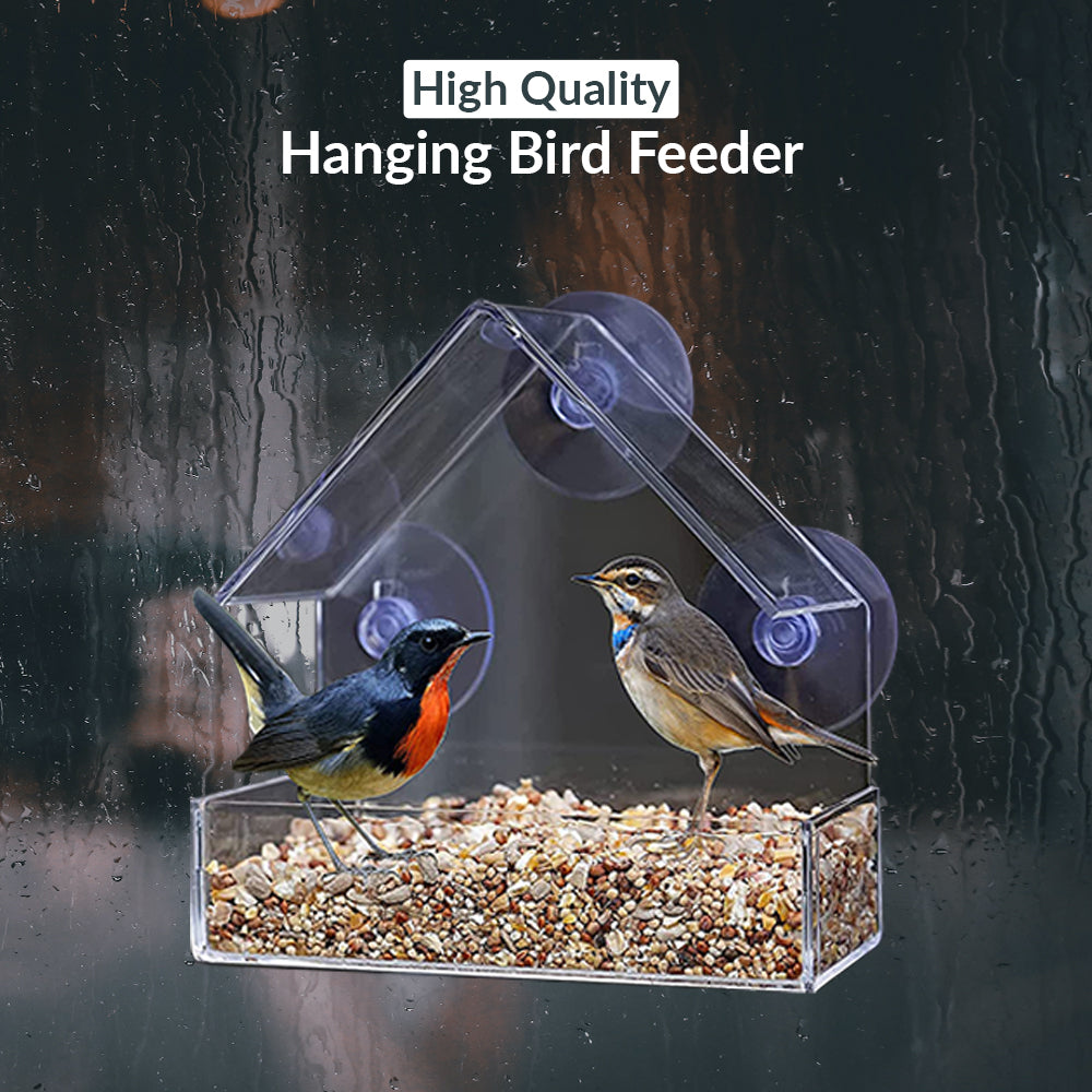 Hanging Bird Feeder