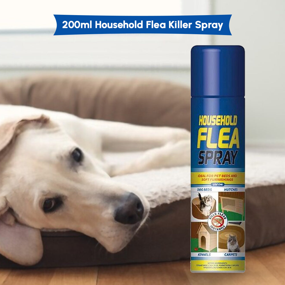 natural flea killer