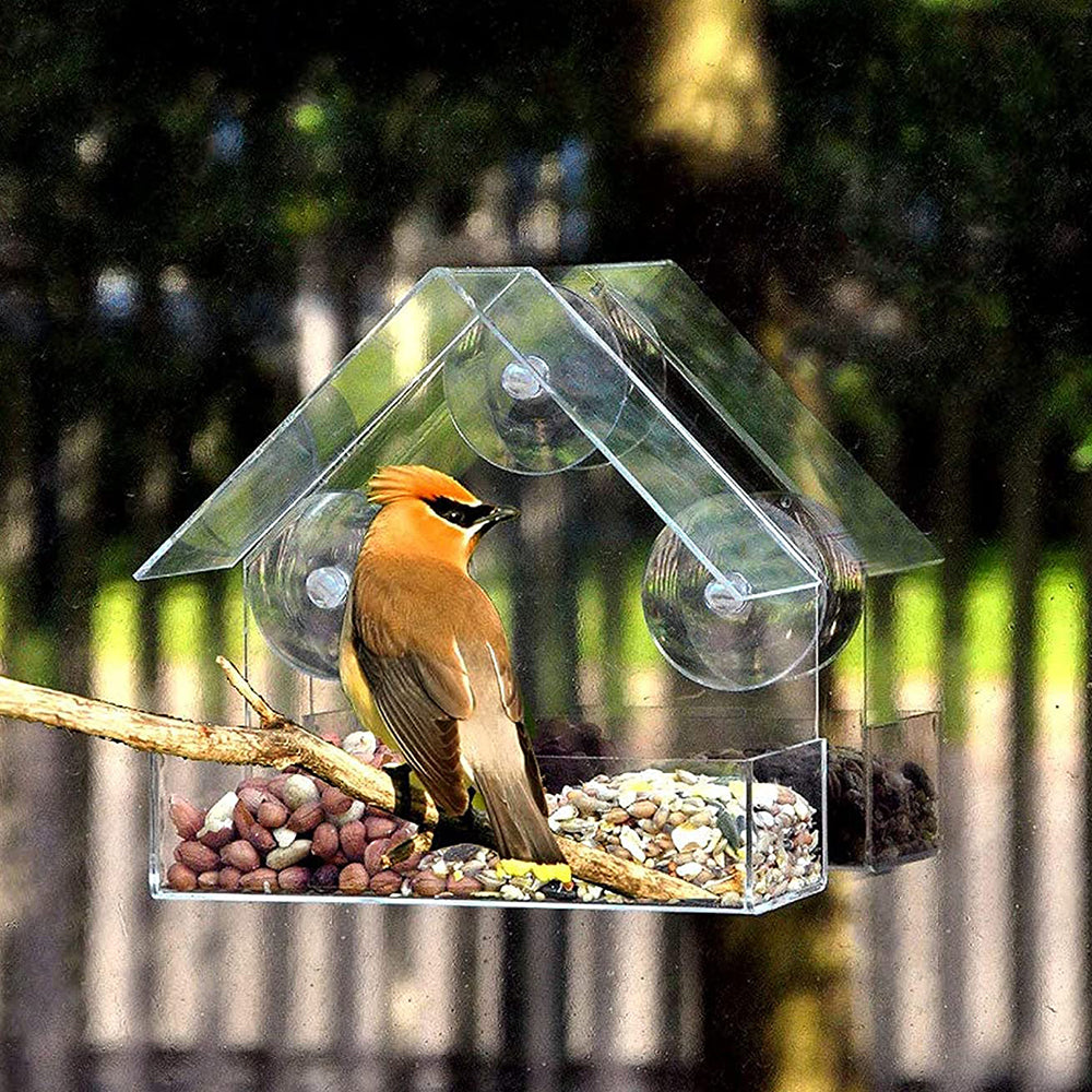 Hanging Bird Feeder