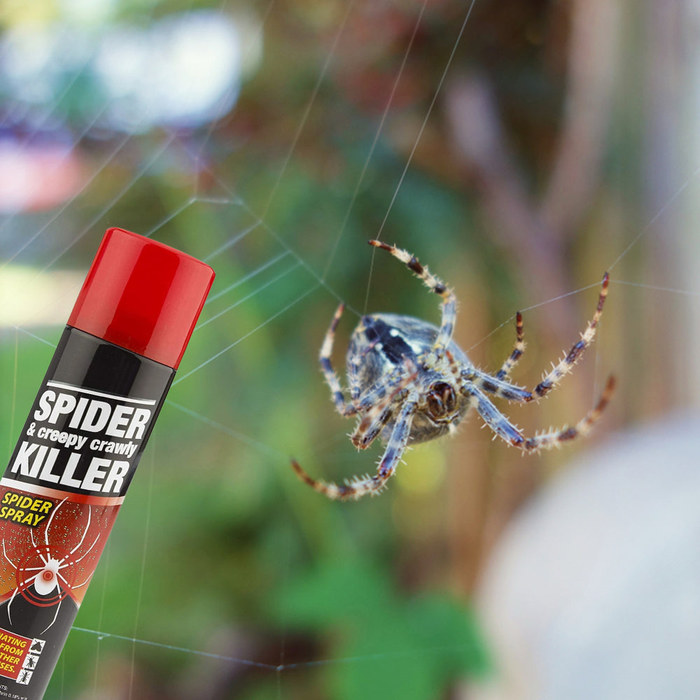 Spider spray killer