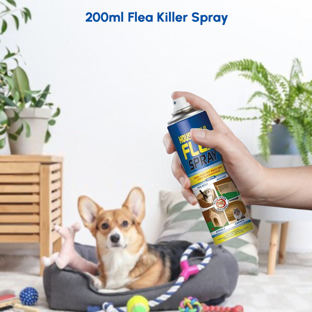 Flea Killer Spray