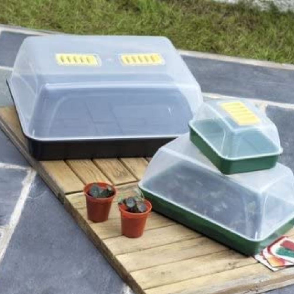 seedling trays
